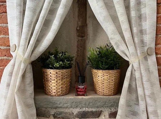 The Bricks Free Parking Frühstückspension Pisa